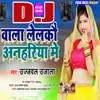 About DJ Wala Lelkau Anhariya Me Song